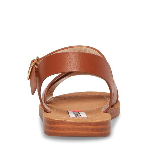 Steve Madden Jleague Cognac Sandalen Kinderen Bruin | SM-341XI