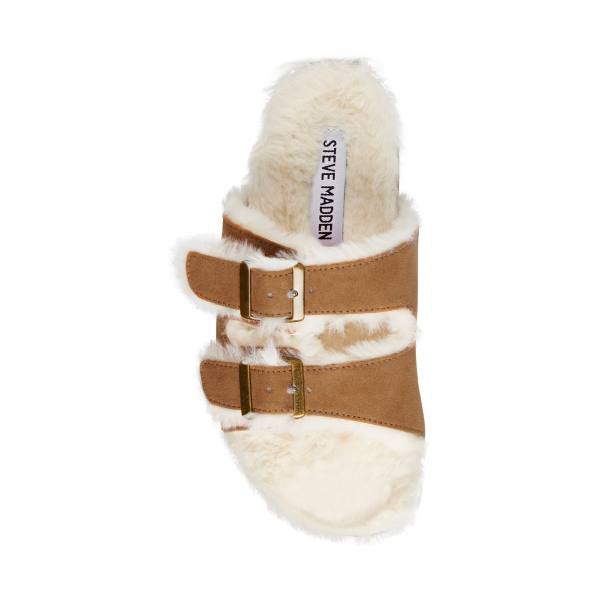 Steve Madden Jleena Cognac Slippers Kinderen Bruin | SM-206IP