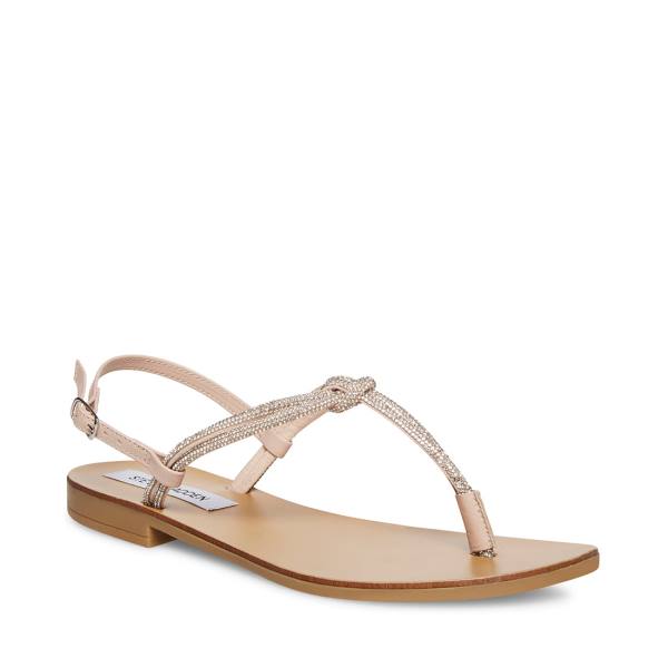 Steve Madden Judy Sandalen Dames Diamond | SM-329UC