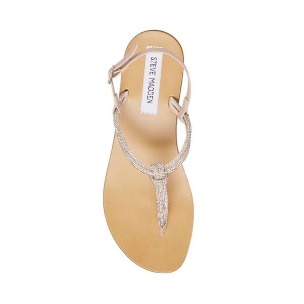 Steve Madden Judy Sandalen Dames Diamond | SM-329UC