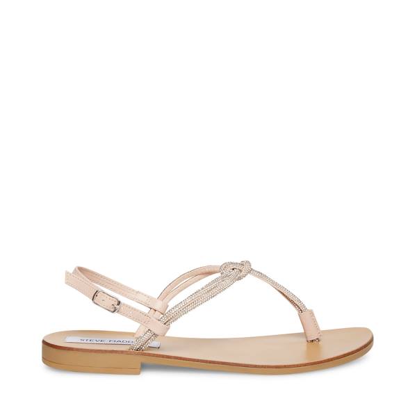 Steve Madden Judy Sandalen Dames Diamond | SM-329UC