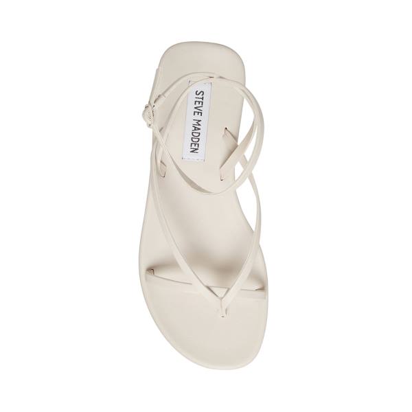 Steve Madden Juno Bone Sandalen Dames Beige | SM-486QS