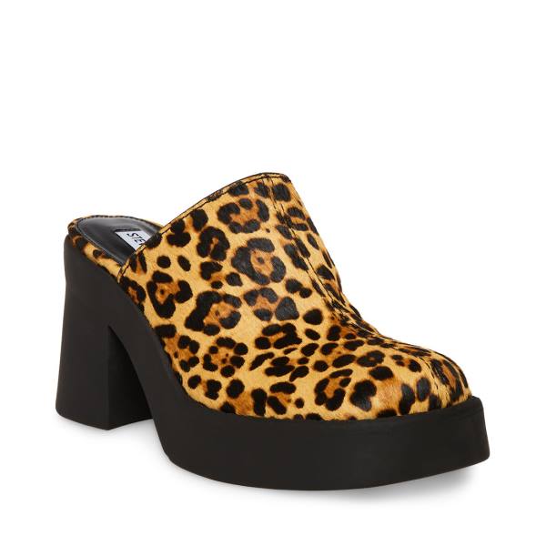 Steve Madden Kam Leopard Heel Hakken Dames Leopard | SM-250TE