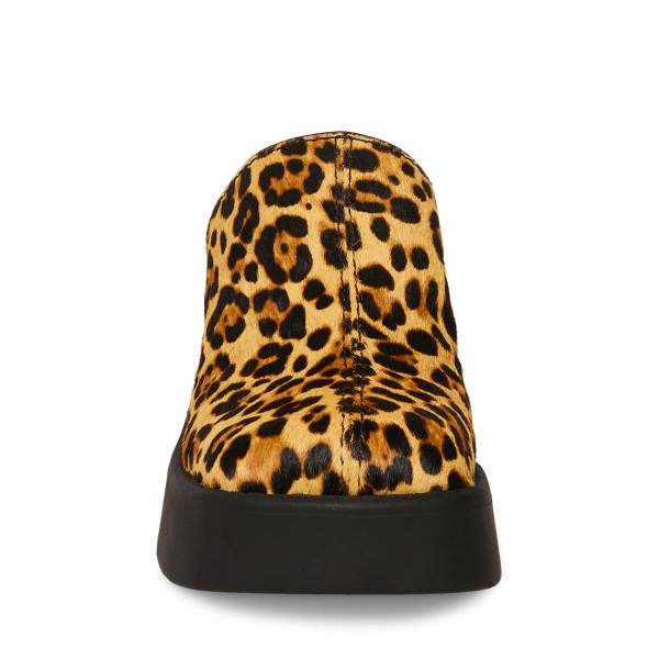 Steve Madden Kam Leopard Heel Hakken Dames Leopard | SM-250TE