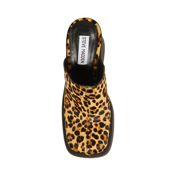 Steve Madden Kam Leopard Heel Hakken Dames Leopard | SM-250TE