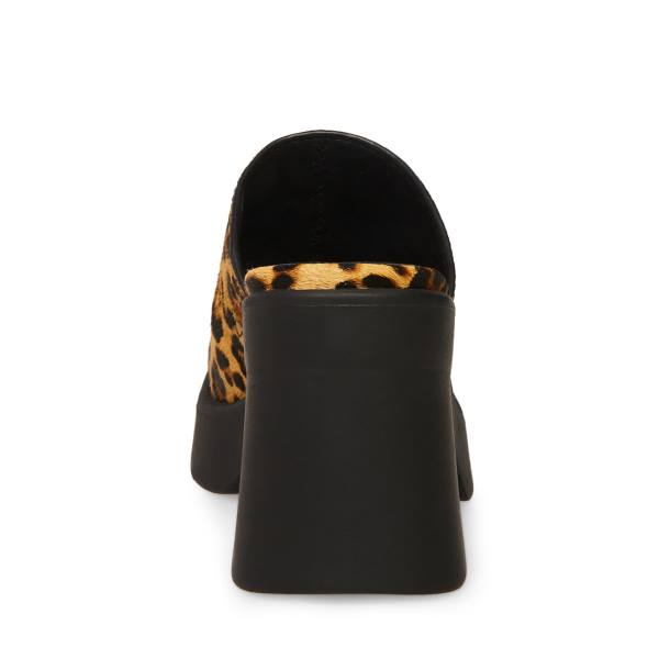 Steve Madden Kam Leopard Heel Hakken Dames Leopard | SM-250TE