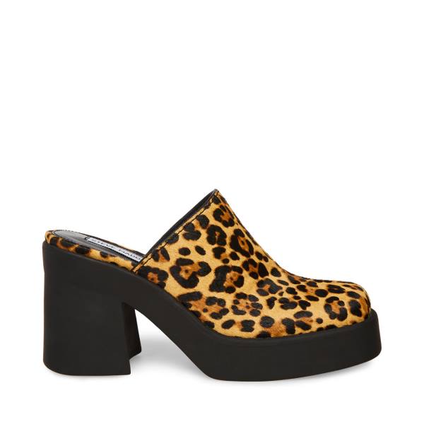 Steve Madden Kam Leopard Heel Hakken Dames Leopard | SM-250TE