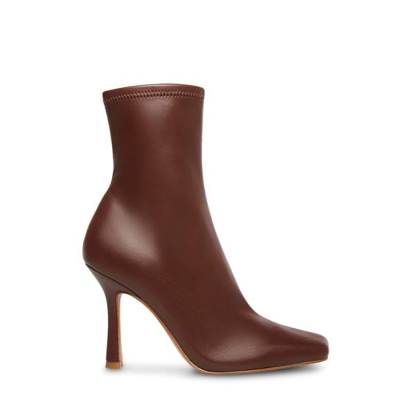 Steve Madden Katerina Enkellaarsjes Dames Bruin | SM-862RS