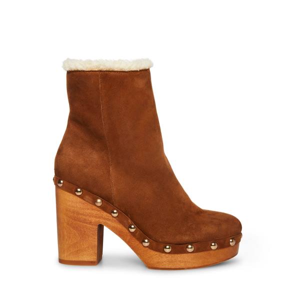 Steve Madden Kent Chestnut Suede Enkellaarsjes Dames Bruin | SM-870XL