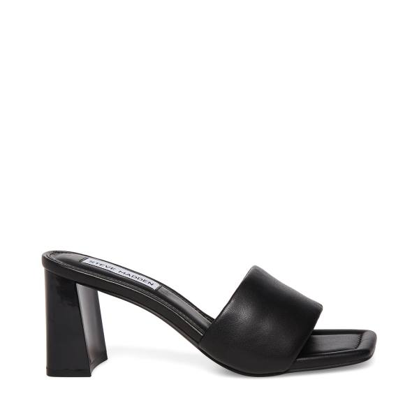 Steve Madden Lexie Heel Hakken Dames Zwart | SM-920DW