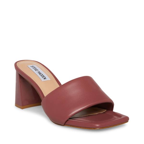 Steve Madden Lexie Mauve Heel Hakken Dames Paars | SM-370JX