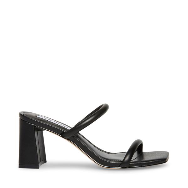 Steve Madden Lilah Heel Hakken Dames Zwart | SM-763QX