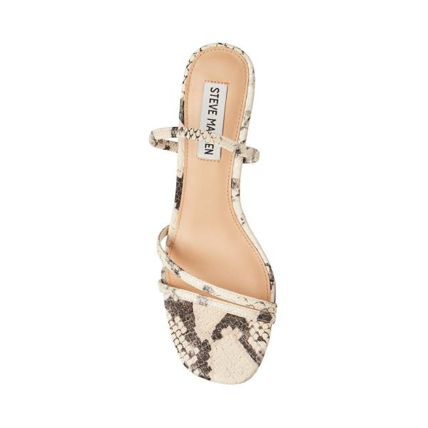 Steve Madden Loft Snake Heel Hakken Dames Beige Slangenprint | SM-259LU