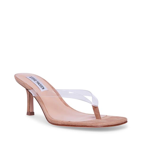 Steve Madden Melrose Heel Hakken Dames Clear | SM-243SP