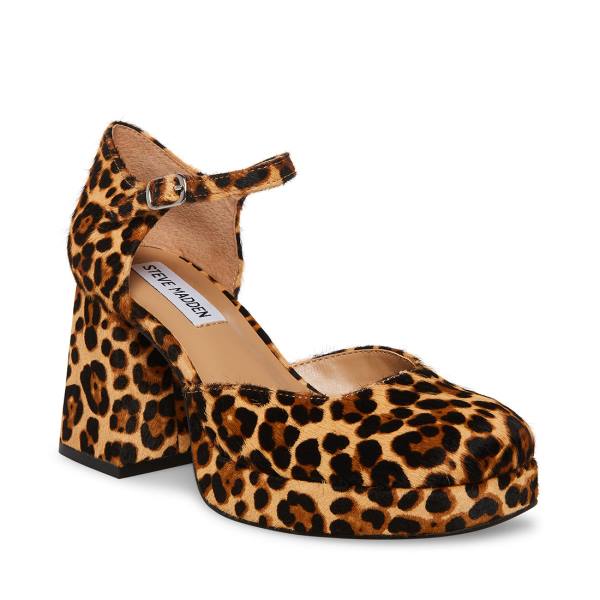 Steve Madden Mimi-l Leopard Heel Hakken Dames Leopard | SM-549KV