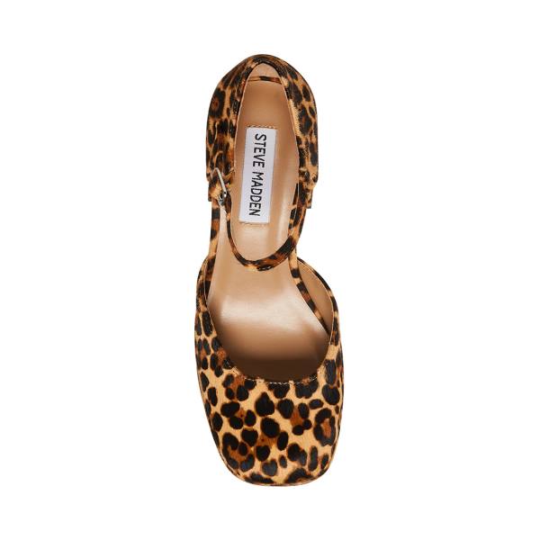 Steve Madden Mimi-l Leopard Heel Hakken Dames Leopard | SM-549KV