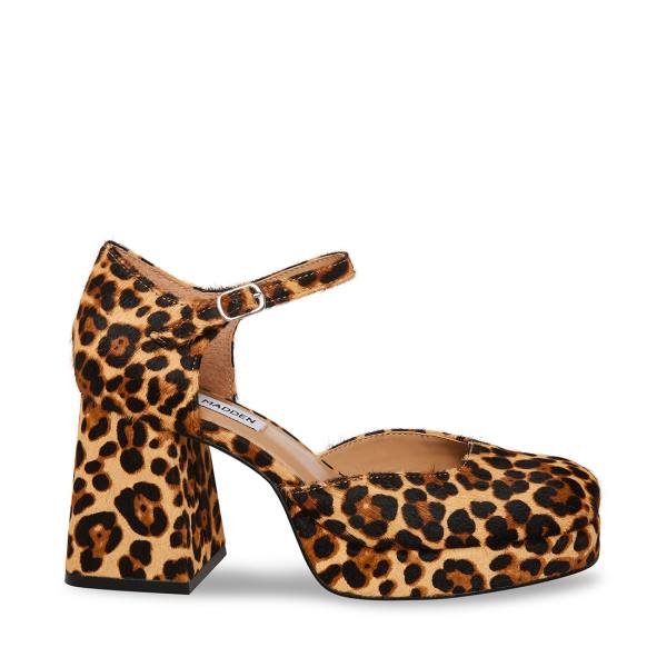 Steve Madden Mimi-l Leopard Heel Hakken Dames Leopard | SM-549KV