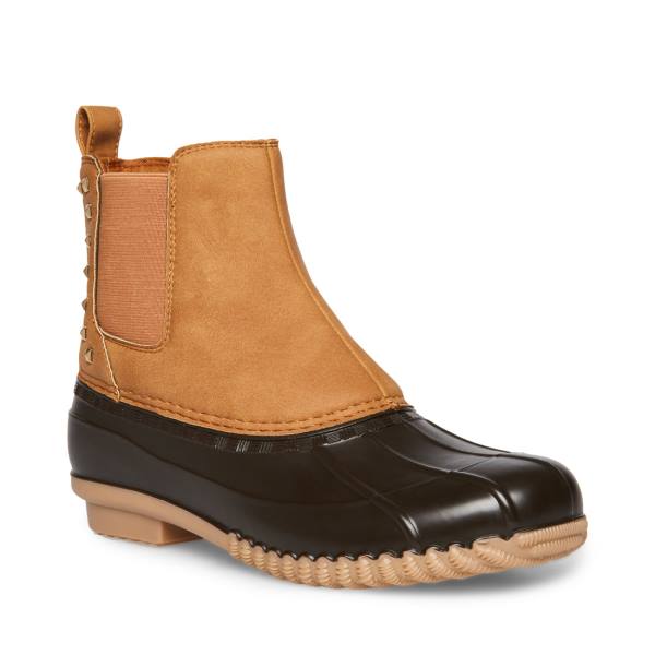 Steve Madden Newlin Tan Enkellaarsjes Dames Bruin | SM-930JX