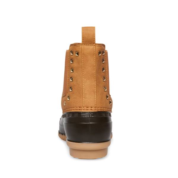 Steve Madden Newlin Tan Enkellaarsjes Dames Bruin | SM-930JX