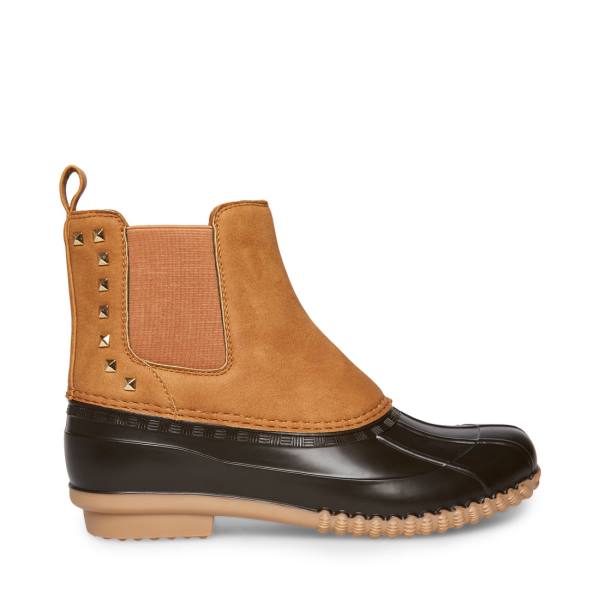 Steve Madden Newlin Tan Enkellaarsjes Dames Bruin | SM-930JX