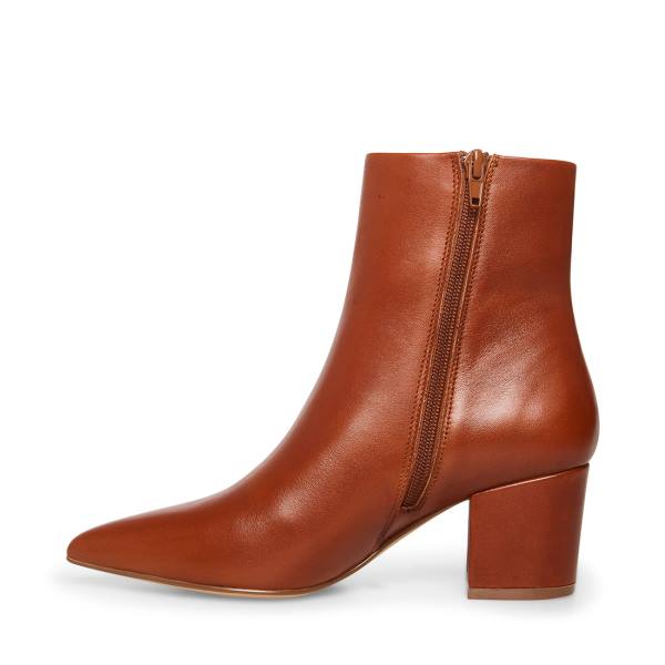 Steve Madden Ossie Cognac Leren Enkellaarsjes Dames Bruin | SM-420GR