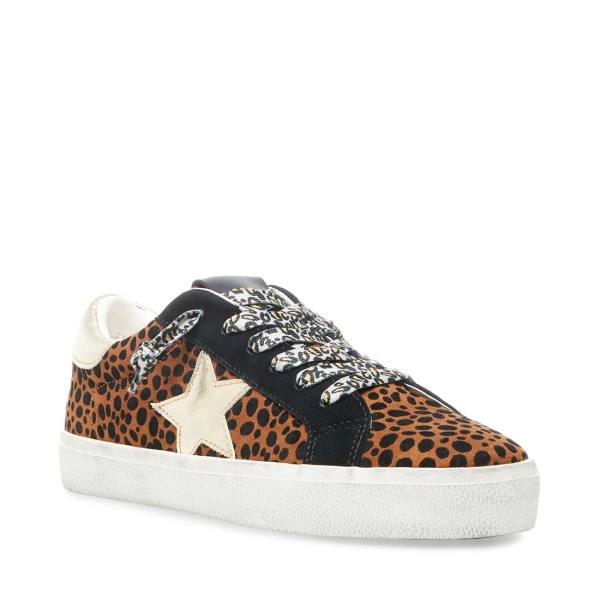 Steve Madden Philosophy Leopard Sneakers Dames Leopard Gekleurd | SM-576YS