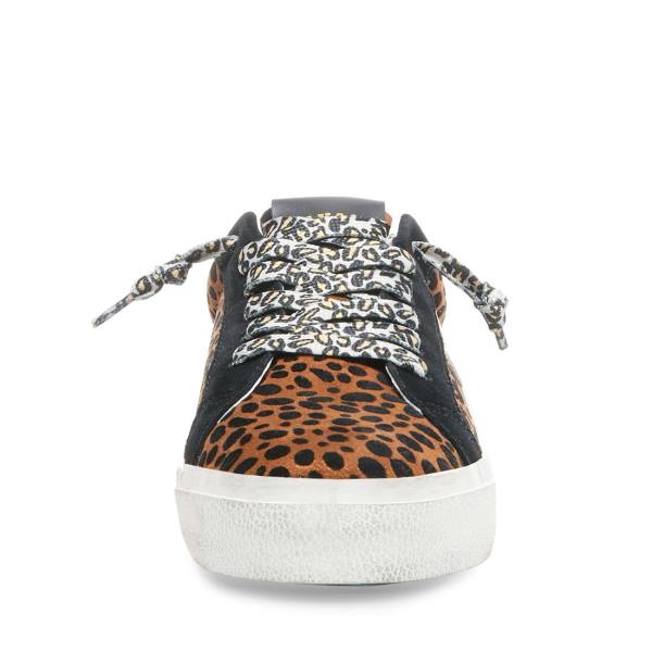 Steve Madden Philosophy Leopard Sneakers Dames Leopard Gekleurd | SM-576YS