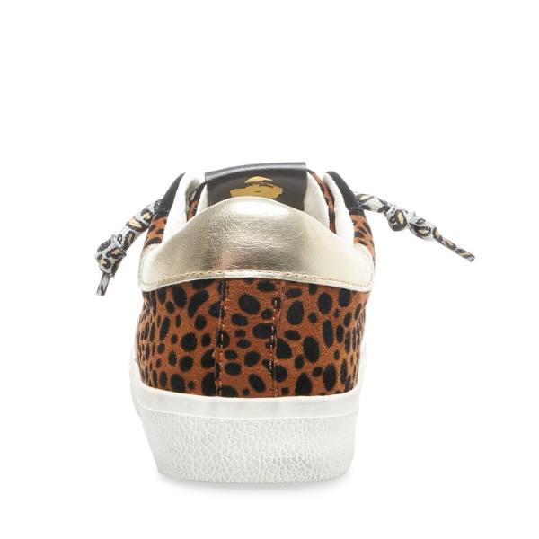 Steve Madden Philosophy Leopard Sneakers Dames Leopard Gekleurd | SM-576YS