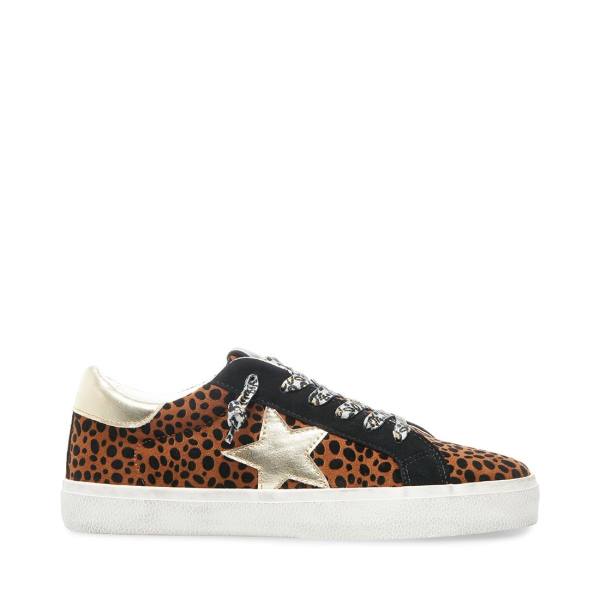 Steve Madden Philosophy Leopard Sneakers Dames Leopard Gekleurd | SM-576YS