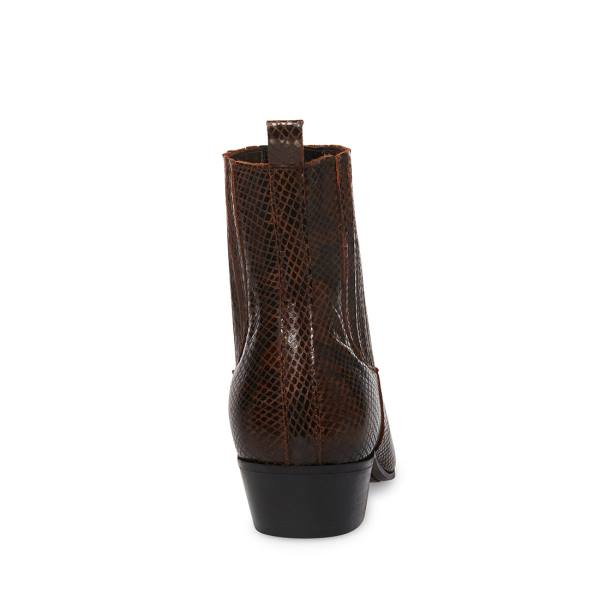 Steve Madden Pierre Snake Laarzen Heren Bruin Slangenprint | SM-518JU