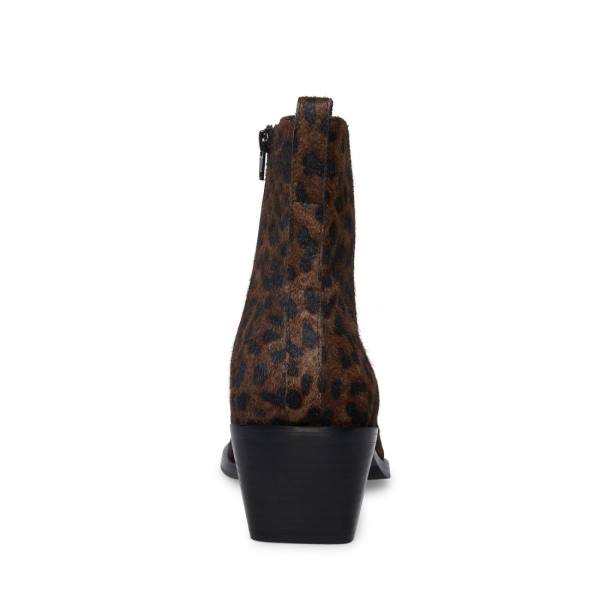 Steve Madden Richie Leopard Laarzen Heren Leopard | SM-794HO