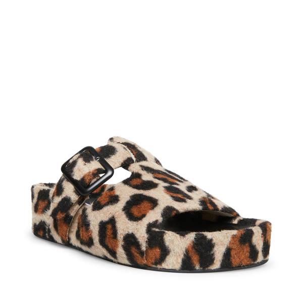 Steve Madden Rizzle Leopard Slippers Dames Leopard | SM-670AT