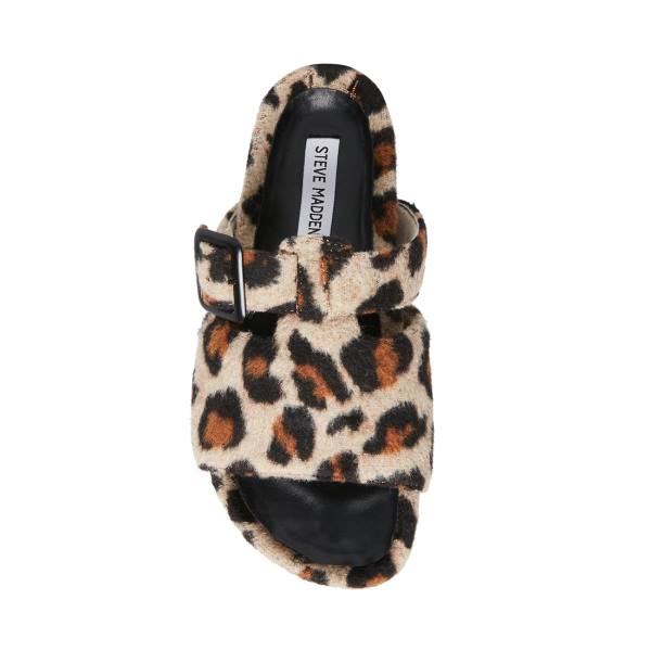 Steve Madden Rizzle Leopard Slippers Dames Leopard | SM-670AT