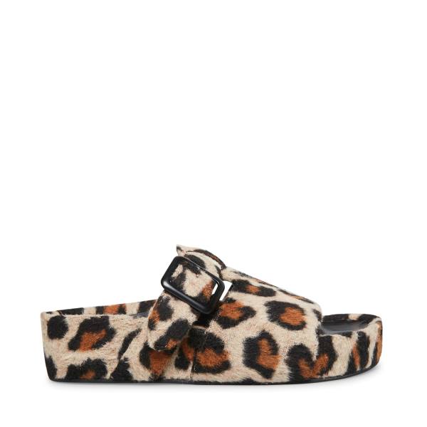 Steve Madden Rizzle Leopard Slippers Dames Leopard | SM-670AT