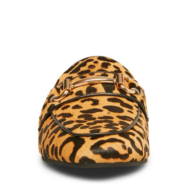 Steve Madden Rylie Leopard Platte Schoenen Dames Leopard | SM-729QY