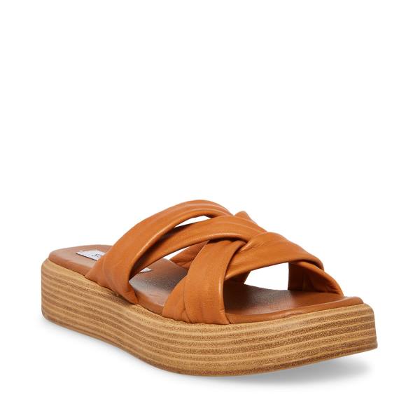 Steve Madden Salita Tan Leren Sandalen Dames Bruin | SM-397GM