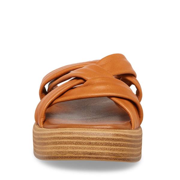 Steve Madden Salita Tan Leren Sandalen Dames Bruin | SM-397GM