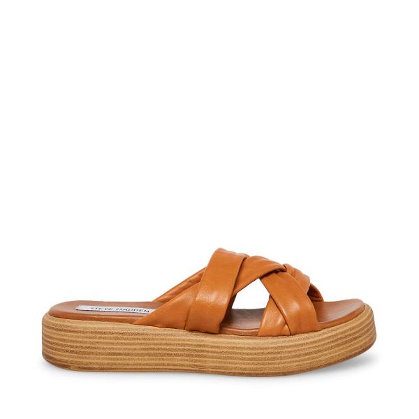 Steve Madden Salita Tan Leren Sandalen Dames Bruin | SM-397GM