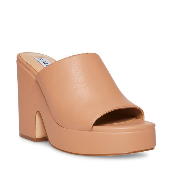 Steve Madden Sally Tan Heel Hakken Dames Donkerbruin | SM-358GO