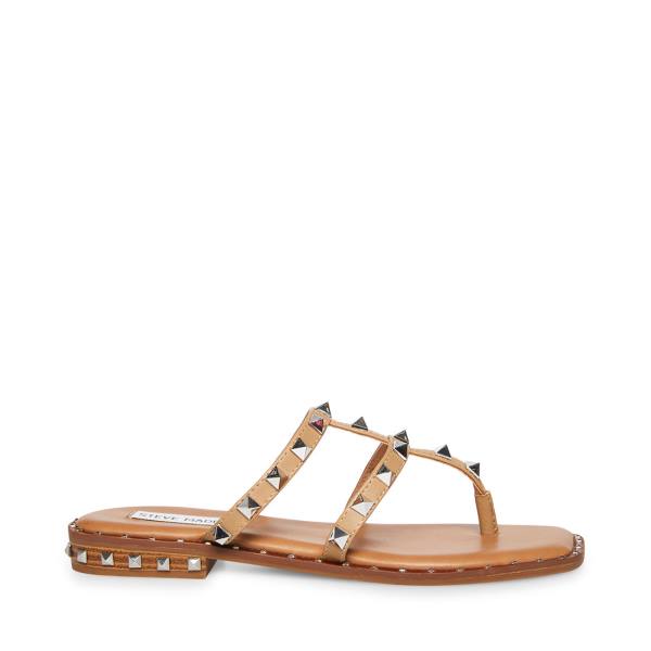 Steve Madden Sandie Tan Sandalen Dames Bruin | SM-961GV