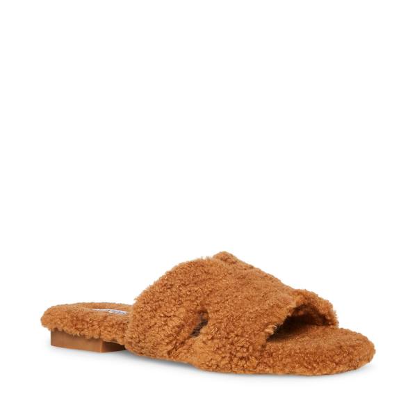 Steve Madden Seek Cognac Slippers Dames Bruin | SM-974WB