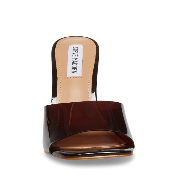 Steve Madden Signal Heel Hakken Dames Bruin | SM-568KU