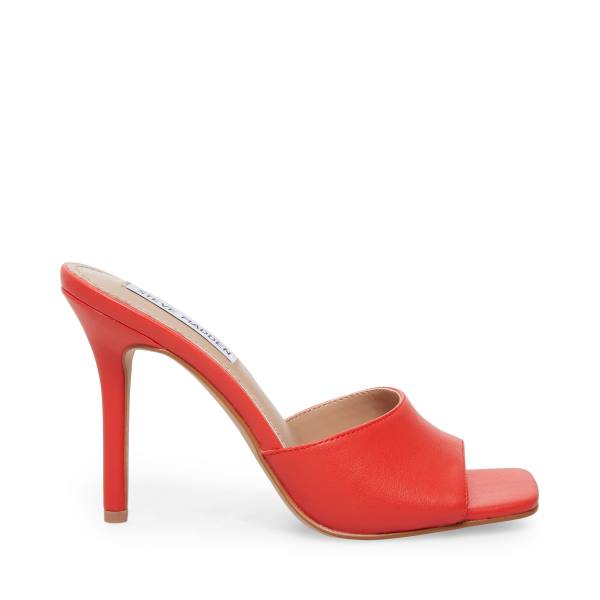 Steve Madden Signal Heel Hakken Dames Rood | SM-572FO