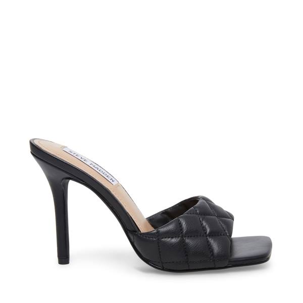 Steve Madden Signify Heel Hakken Dames Zwart Gekleurd | SM-769VL