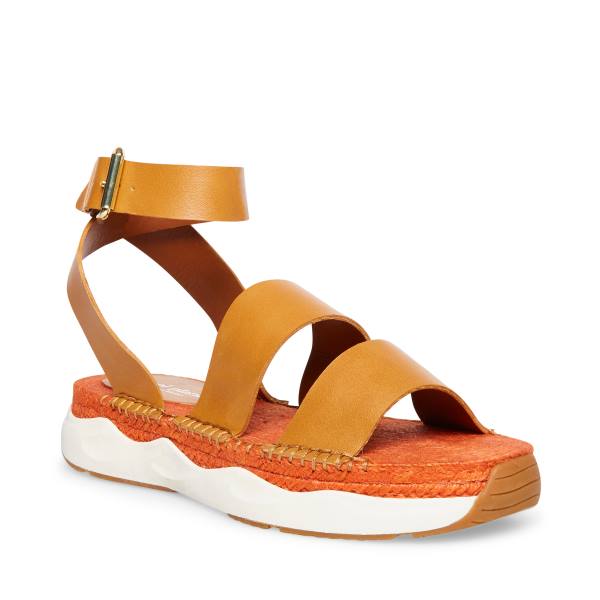 Steve Madden Springs Tan Paris Sandalen Dames Bruin | SM-498XE