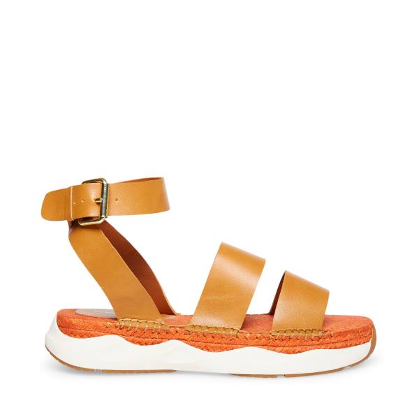 Steve Madden Springs Tan Paris Sandalen Dames Bruin | SM-498XE