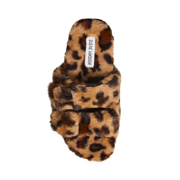 Steve Madden Staycation Leopard Slippers Dames Leopard | SM-534UW