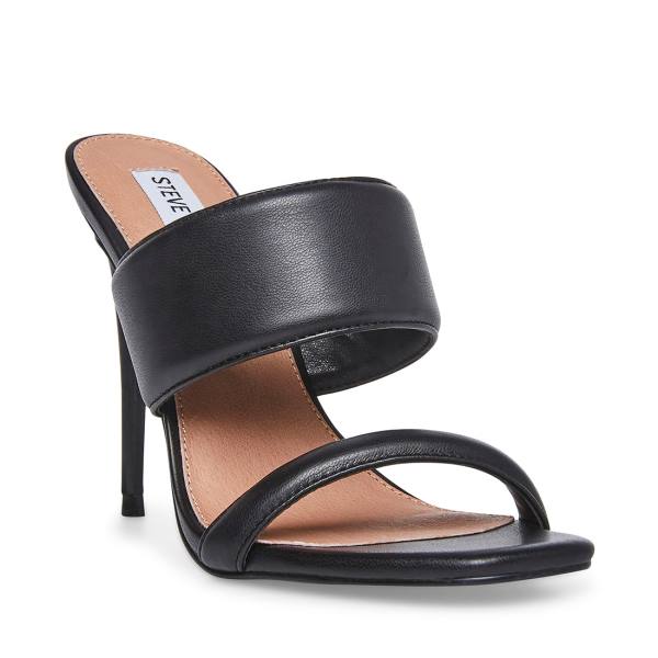 Steve Madden Swan Heel Hakken Dames Zwart | SM-631PA