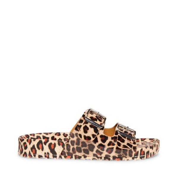 Steve Madden Teddy-t Leopard Sandalen Dames Leopard | SM-938DE