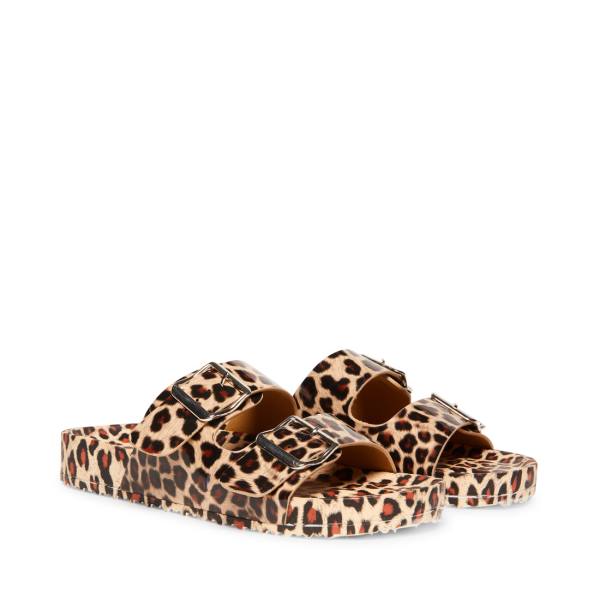 Steve Madden Teddy-t Leopard Sandalen Dames Leopard | SM-938DE